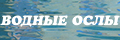 Водные ослы
